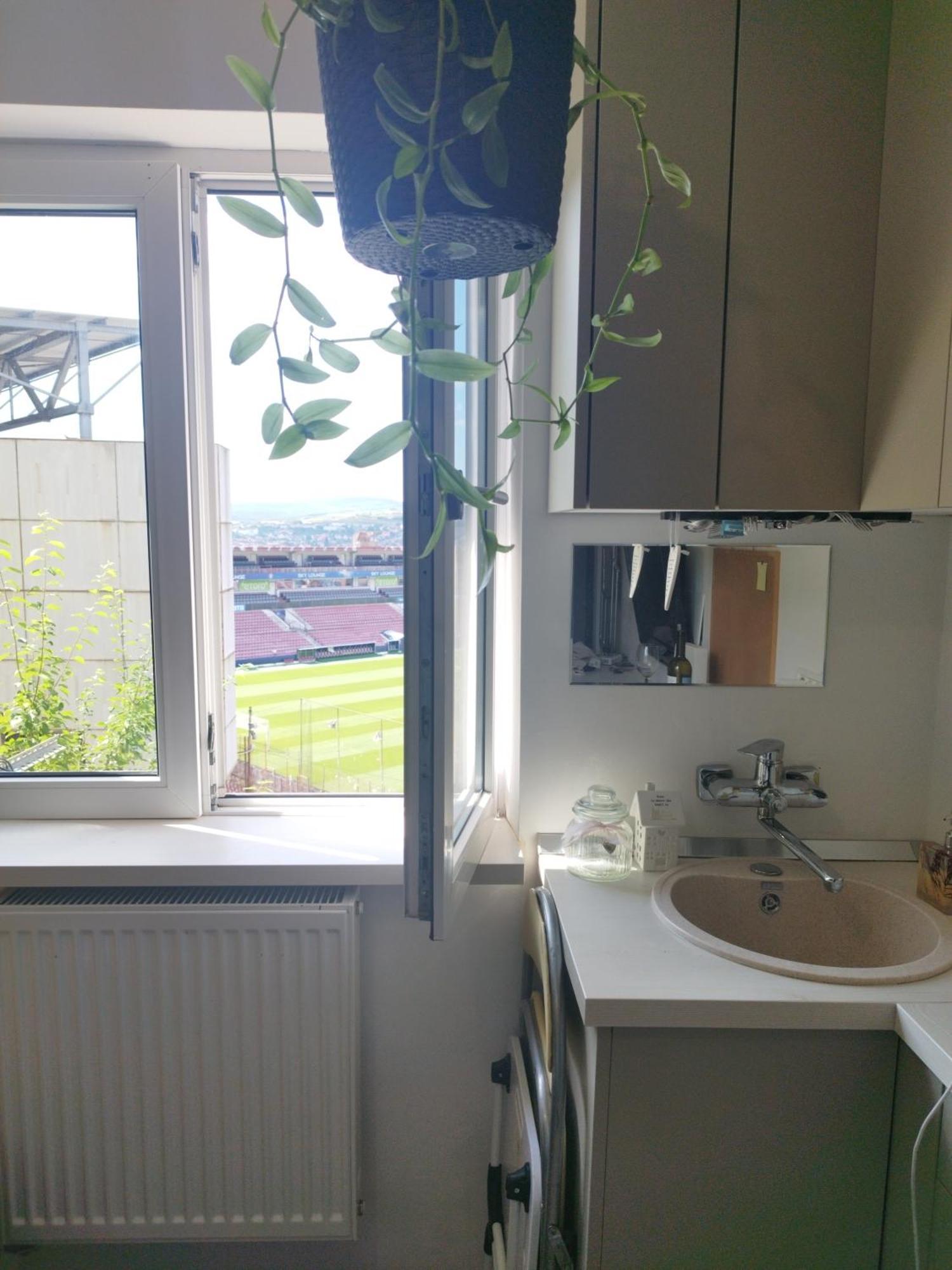 Central Nook With Stadium Vista 克卢日-纳波卡 外观 照片